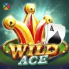 Wild Ace