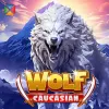 Caucasian wolf