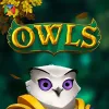 Owls
