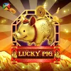 Lucky Pig