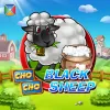 Black Sheep