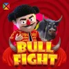 Bull Fight