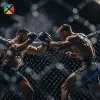 Mma